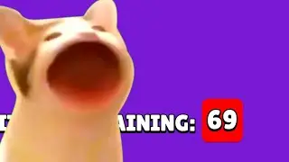 box opening pains in a nutshell