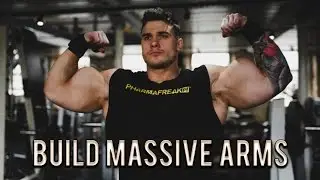 Harrison Twins | BUILD ARMS LIKE THESE!! Arms motivation