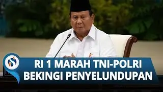 Di Hadapan Panglima & Kapolri, Prabowo Murka Soal TNI-Polri Bekingi Pembalakan Liar & Penyelundupan