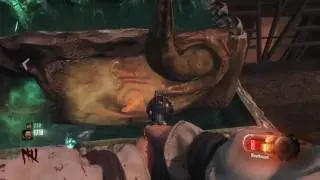 Call Of Duty Zombies SOE 
