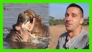 Diaries from TANZANIA. Safari, Dirt Roads and Mwanza