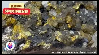 Rare Specimen with Pyrite, Hematite, Clear Quartz and Smoky Quartz Inclusions