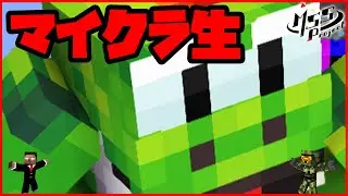 マイクラ生！久しぶりにバニラでまったりプレイ！【Minecraft】