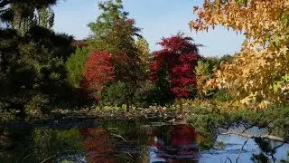 Herbstimperssionen Arboretum Ellerhoop