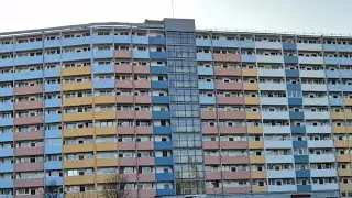 FALOWIEC W NOWYM PORCIE. ŹRÓDŁO PROBLEMÓW I KORZYŚCI