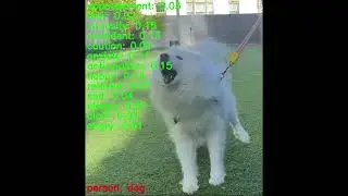 Real time dog translation is coming! Try #traini #dogtranslator