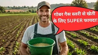 गोबर गैस स्लरी से खेती के लिए SUPER फायदा!