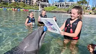 Painting with Dolphins at Dolphin Quest Hawaii with Adventure Family Journal!
