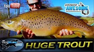 HUGE BROWN TROUT!! - Dever Springs | TAFishing Show