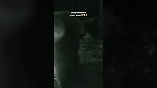 Птица додо жыва😱#додо #дронт#додоптица#жыва