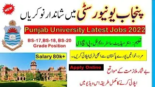Punjab University Jobs 2022 || Punjab University Latest Jobs 2022 | Apply Online | PU Latest Jobs