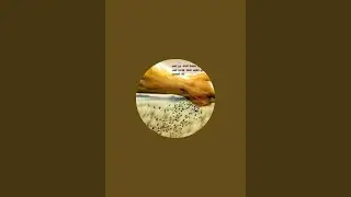 LIVING A HOLY LIFE IN UNHOLY WORLD | अपवित्र दुनिया में पवित्र जीवन जीना |