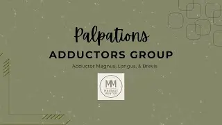 Adductors Palpation