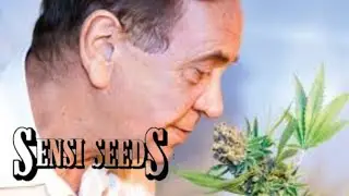 Europe&rsquo;s Seed Empire  Ben Dronkers & Sensi Seeds Documentary