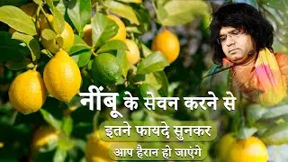 नींबू के सेवन करने से इतने फायदे सुनकर आप हैरान हो जाएंगे || Acharya Shri Kaushik Ji Maharaj