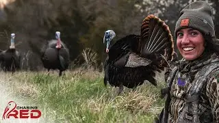2 Gobblers Down! Beating the Wind with a Smart Setup #hunting #turkeyhunting