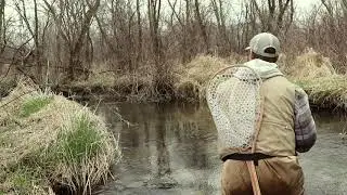 STUD Southern Wisconsin Brook Trout