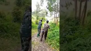 Guerre entre Fardec et M23