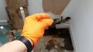 4 Second Toilet installation in Putney London