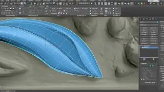 Twisted leaf modeling