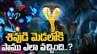 శివుడి మెడలో సర్పం ఎందుకుంటుంది? | Why lord shiva wear a snake around his neck | Vasuki story