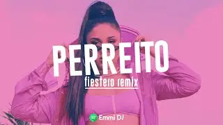 PERREITO REMIX - MARIAH ✘ EMMI DJ