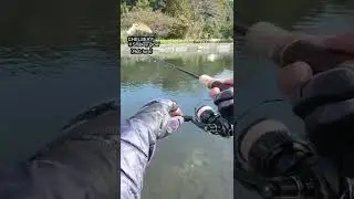 【AREA TROUT Fishing】CHELSEA F♯Snakey glow（Rob lure）2022.10.21