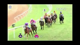 #HORSERACEFREETIPS  RACE NO: Jun 18, 2022(47)The Dupont PlateWINNER: NOBLE RULER