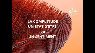 FJ : La Compl&eacute;tude, un &eacute;tat d'&ecirc;tre ou un sentiment