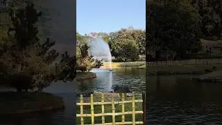 Pune Okayama Friendship Garden 🏡😯#pune #okayamagarden #travelvlog #shorts #park #garden