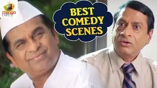 Hindi Comedy Videos | Brahmanandam Comedy | Raja | Ms Narayana | Hindi Comedy Movie Scenes