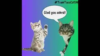 TACO CAT: Youth Action Against Overdose #opioidawareness #tacocat #youthvoices