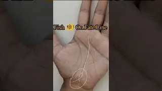 Fish Sign On Fate Line #astrology #palmistry #horoscope #oldpalmist #palmreading #astrology
