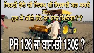 Best time for nursery sowing and DSR of PR 126 or 1509 | Dhan | Paddy | Jhona