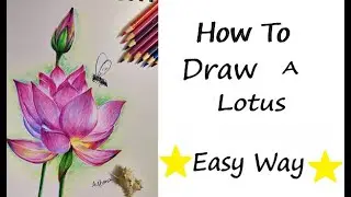 How to draw Lotus || Colour pencil work