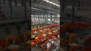 Loop cross belt sorting system