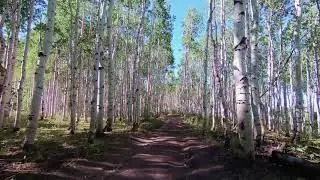 Skyline Trail   Wasatch Plateau   Utah