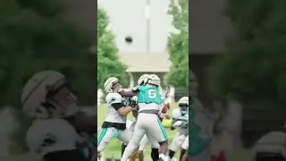 Sam Darnold Cookin 🍽 In Panthers Camp #nfl #panthers #shorts