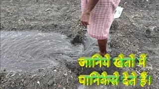 Kheto mai pani kaese dete hai.खेतों में पानी कैसे देते हैं.How do we water the fields?