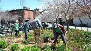 Nos coll&egrave;gues de la r&eacute;gion Am&eacute;riques, b&eacute;n&eacute;voles avec New York Cares | Cr&eacute;dit Agricole CIB