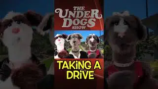 #beegees #disco #parody #dog #discomusic #underdogs #saturdaynightfever
