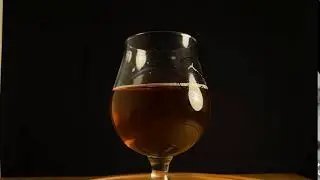 Andejagt - special&oslash;l fra Hvide Sande Bryghus