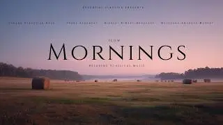 Slow Mornings - Peaceful Classical Music