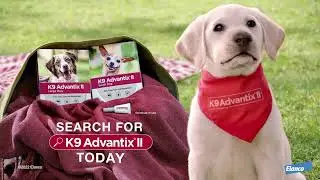 2022 K9 Advantix II - Go Get It - 15s - EN