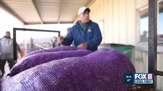 Some Louisiana farmers call for pathway to permanent legal status for migrant workers