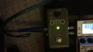 Ditto Stereo Looper going slightly mad #2
