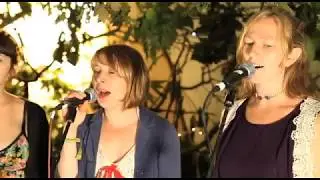 Martin Carr - No Money In My Pocket (Green Man Festival | Sessions)