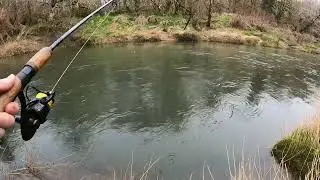 Backyard Oregon trout fishing!