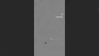 flight door