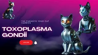 The Parasite Your Cat Carries: Surprising Effects on the Brain and Sex Drive!